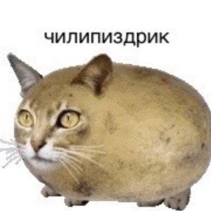 fuckyoumean