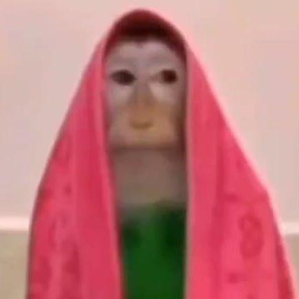 bartik_pidor avatar