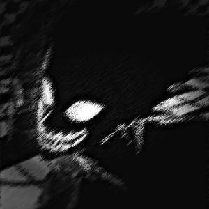 D1ZoR_13