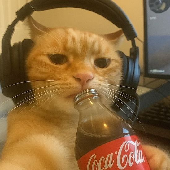 rsNje avatar