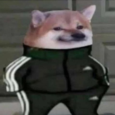 Kazede