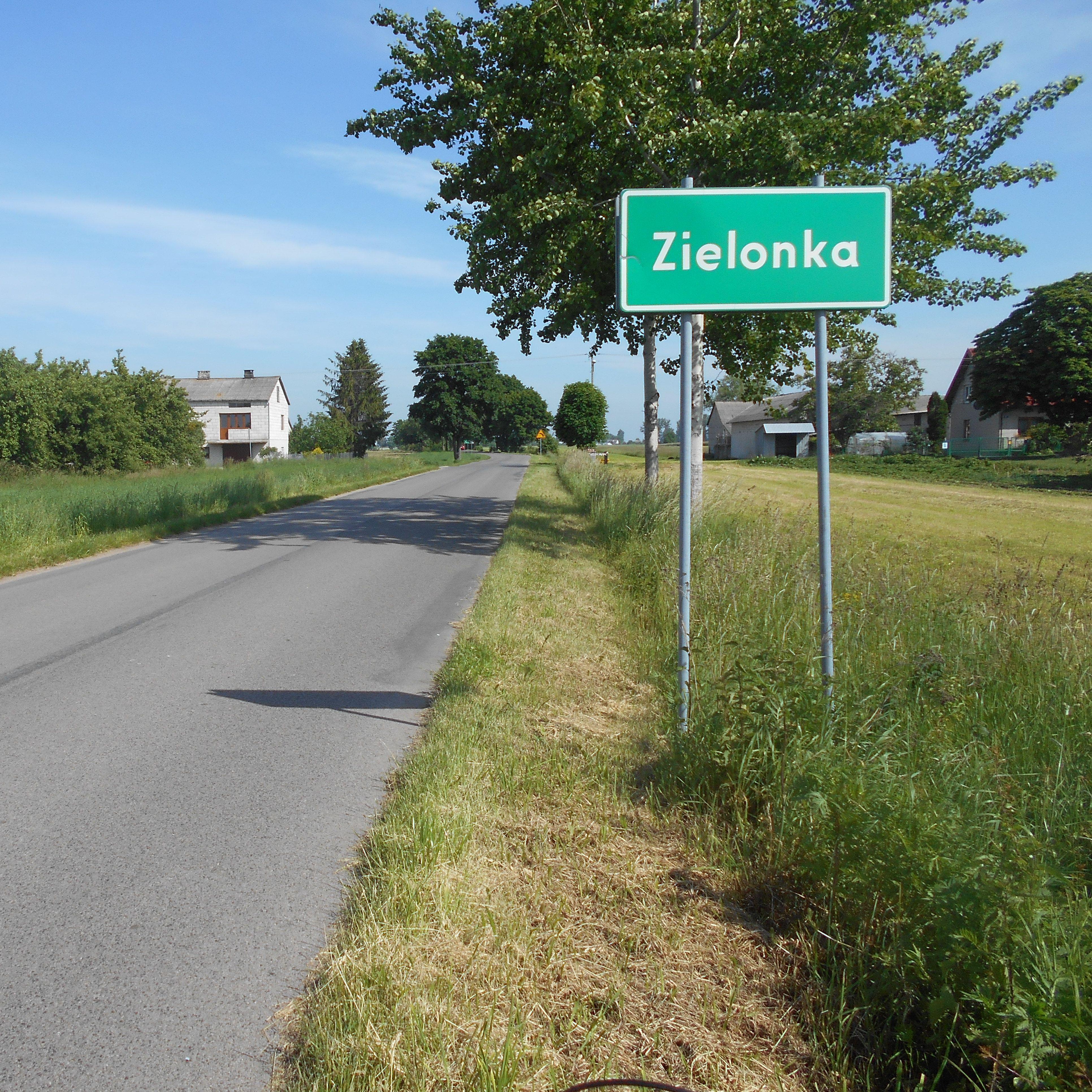 Zielonka333 avatar