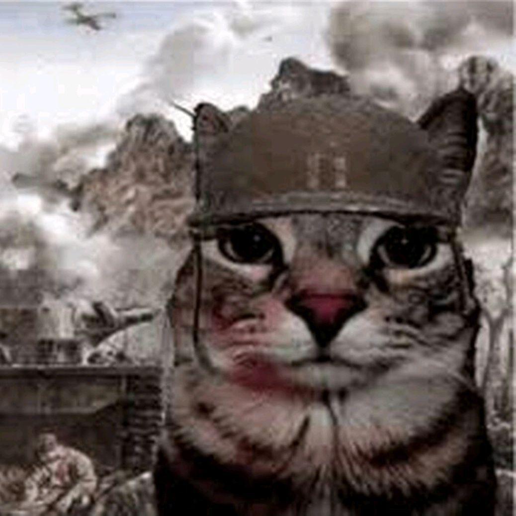 ros_tyapa avatar