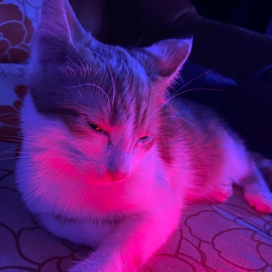 devasuuu-- avatar