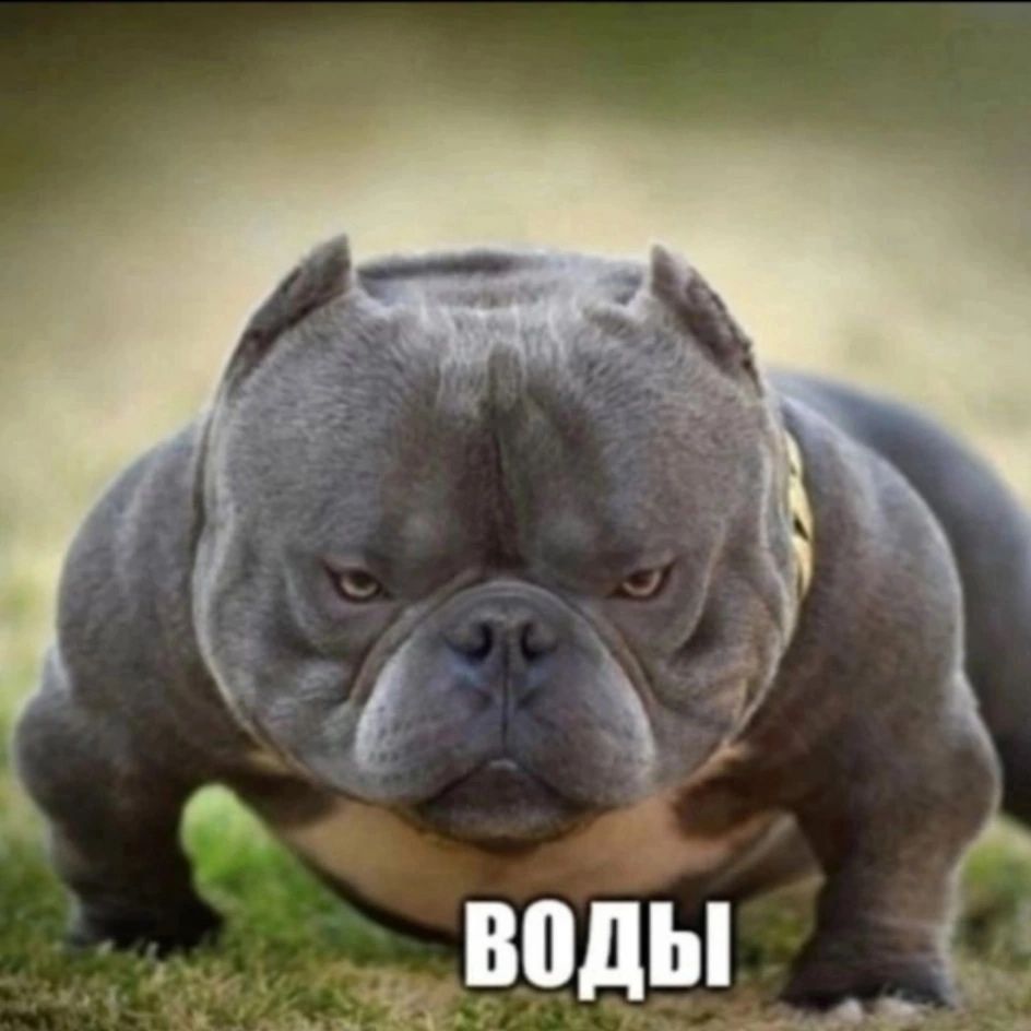 SRAKOEB228