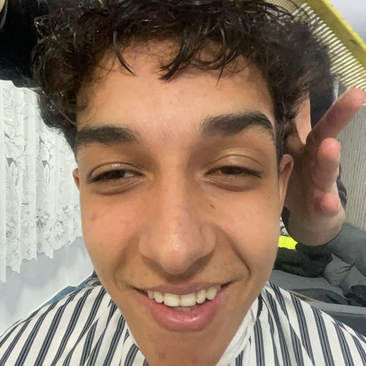 Koko_STF