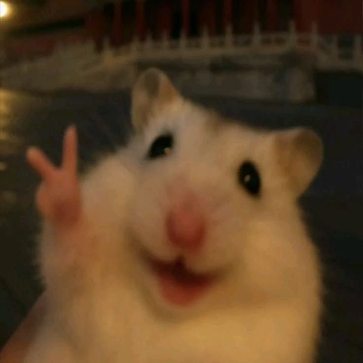 eisfkhejswlf