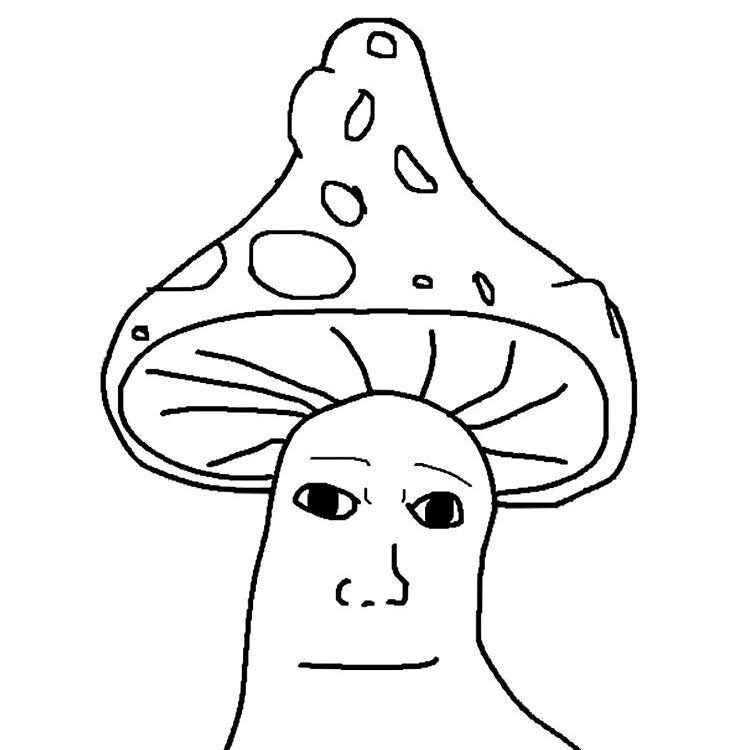 Mushrum2208 avatar