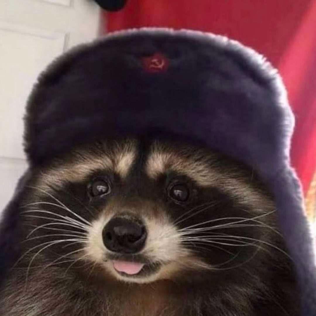 Onoffonx avatar