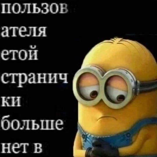 igor_input avatar