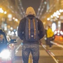 Greyhood