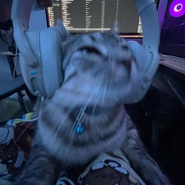 brsst FACEIT avatar
