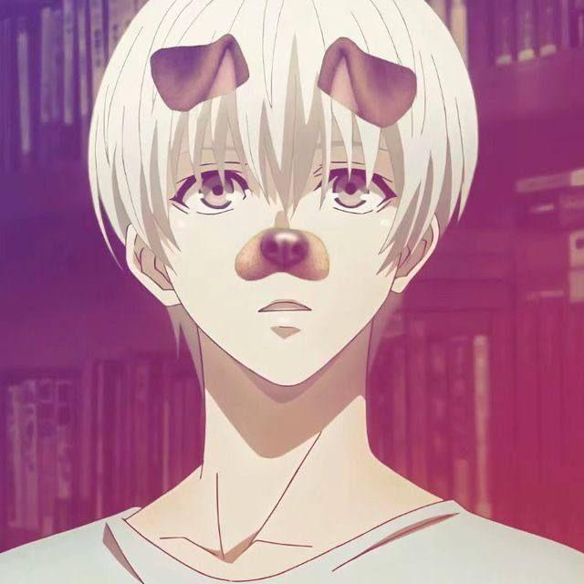 shukow666 avatar