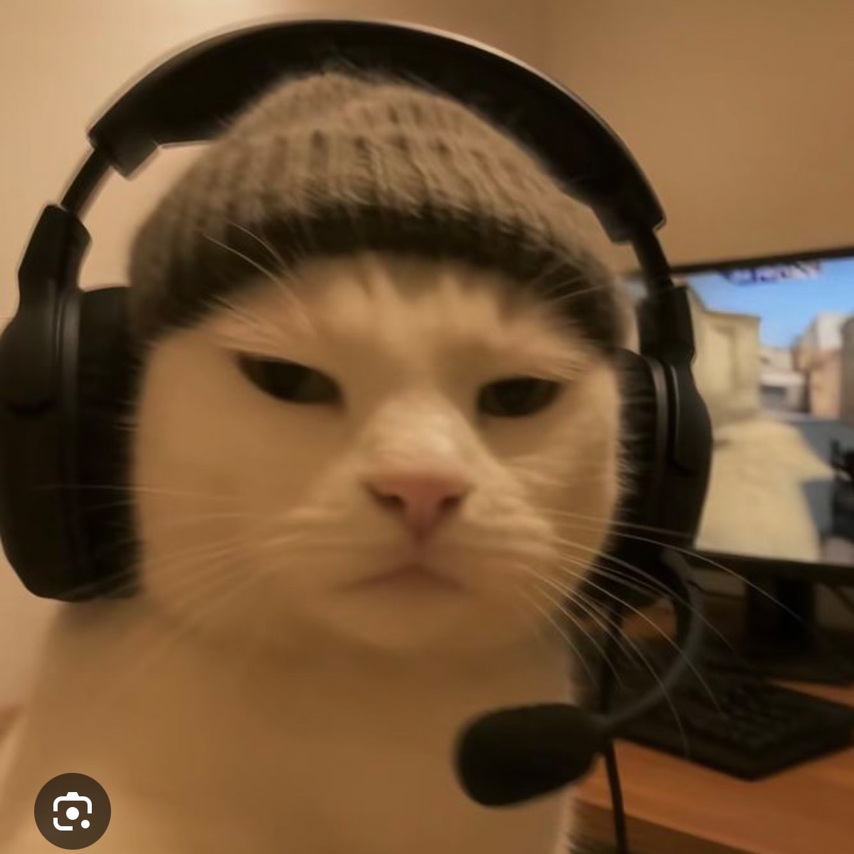VIIPERR