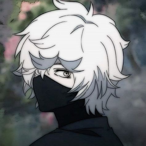 Kolel-