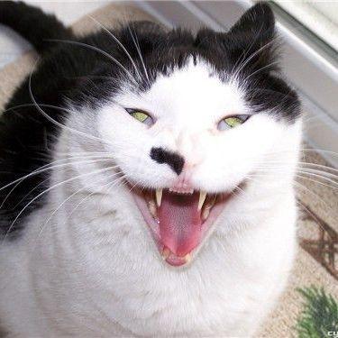 _Mozgovitui_ avatar