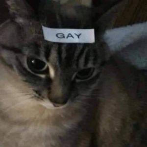 rejk999 avatar