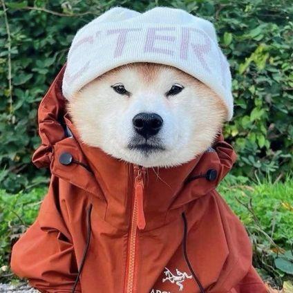 arcteryx avatar
