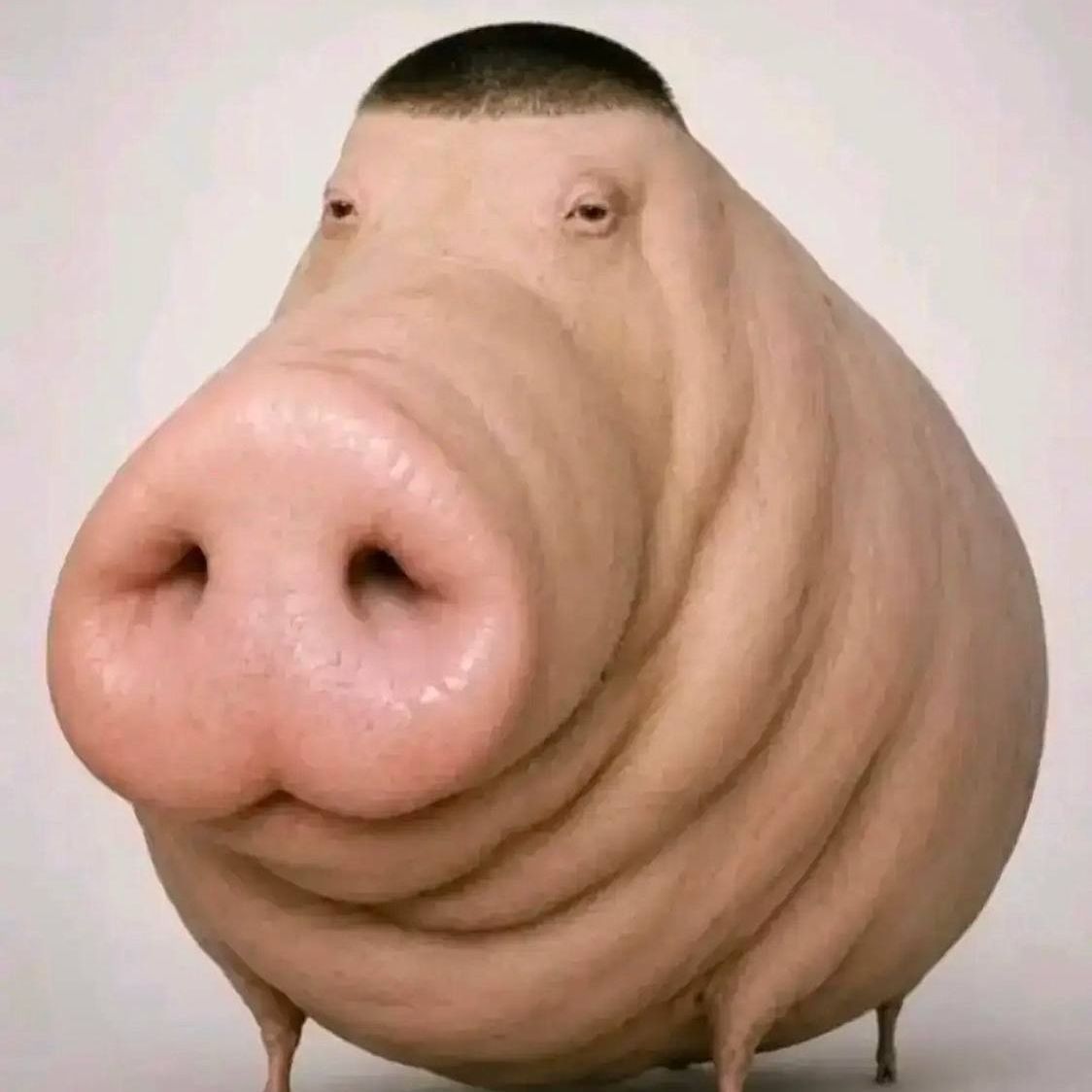 minishlyuha