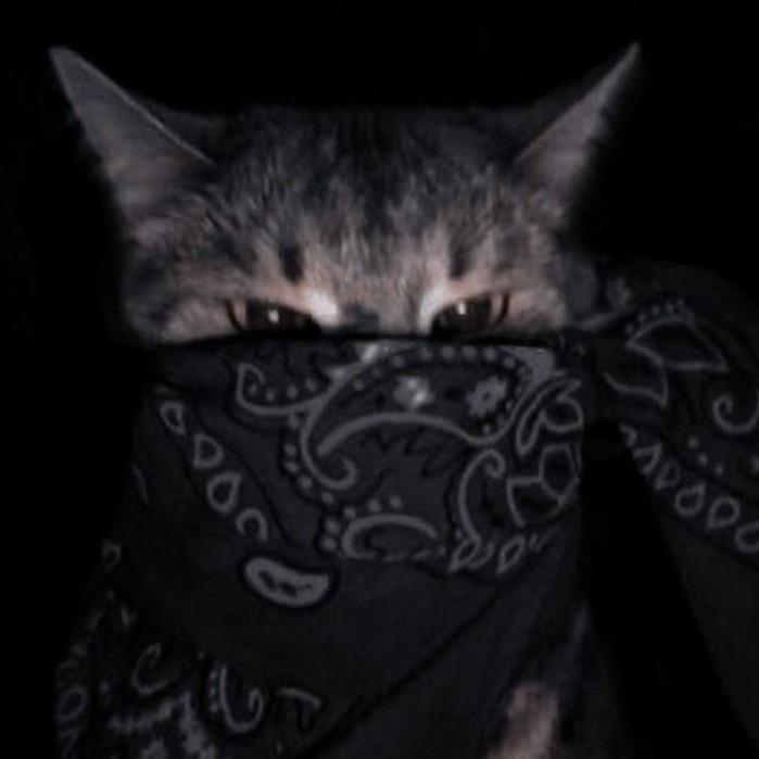 L30_SLD avatar