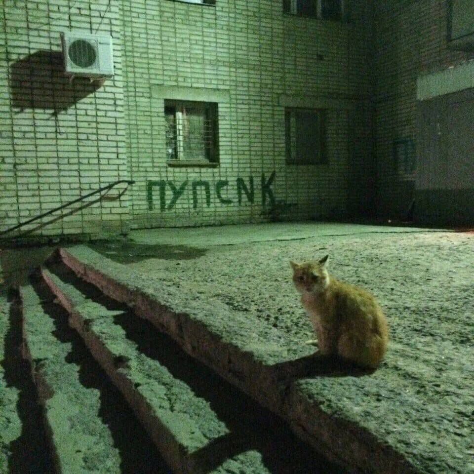 tyxlikADR