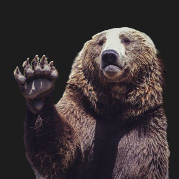 Faceit Avatar