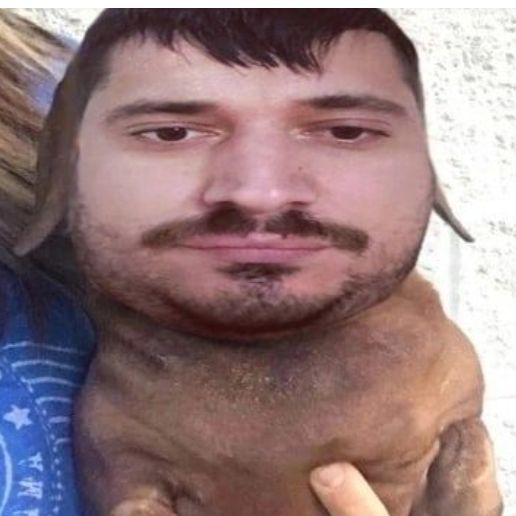 SHABITH4PAEV