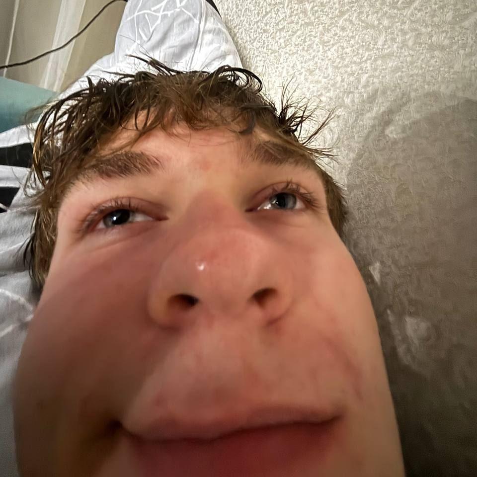 qvelt avatar