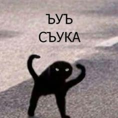 byka143 avatar