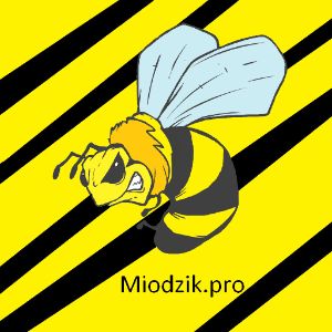 Miodzik_Pro