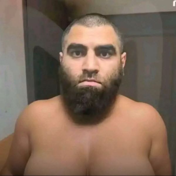 Ho1ychicken
