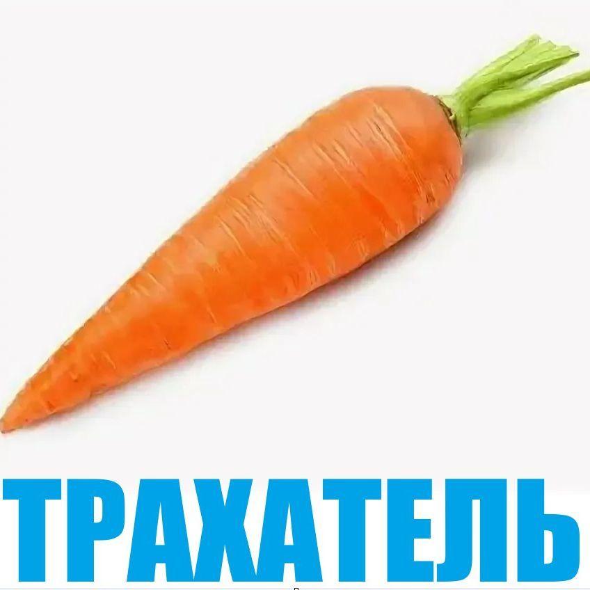 Koorneplod avatar