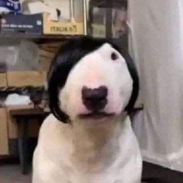 LadyTapochka