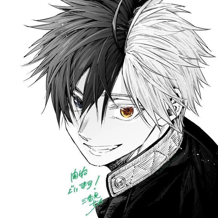 shimo