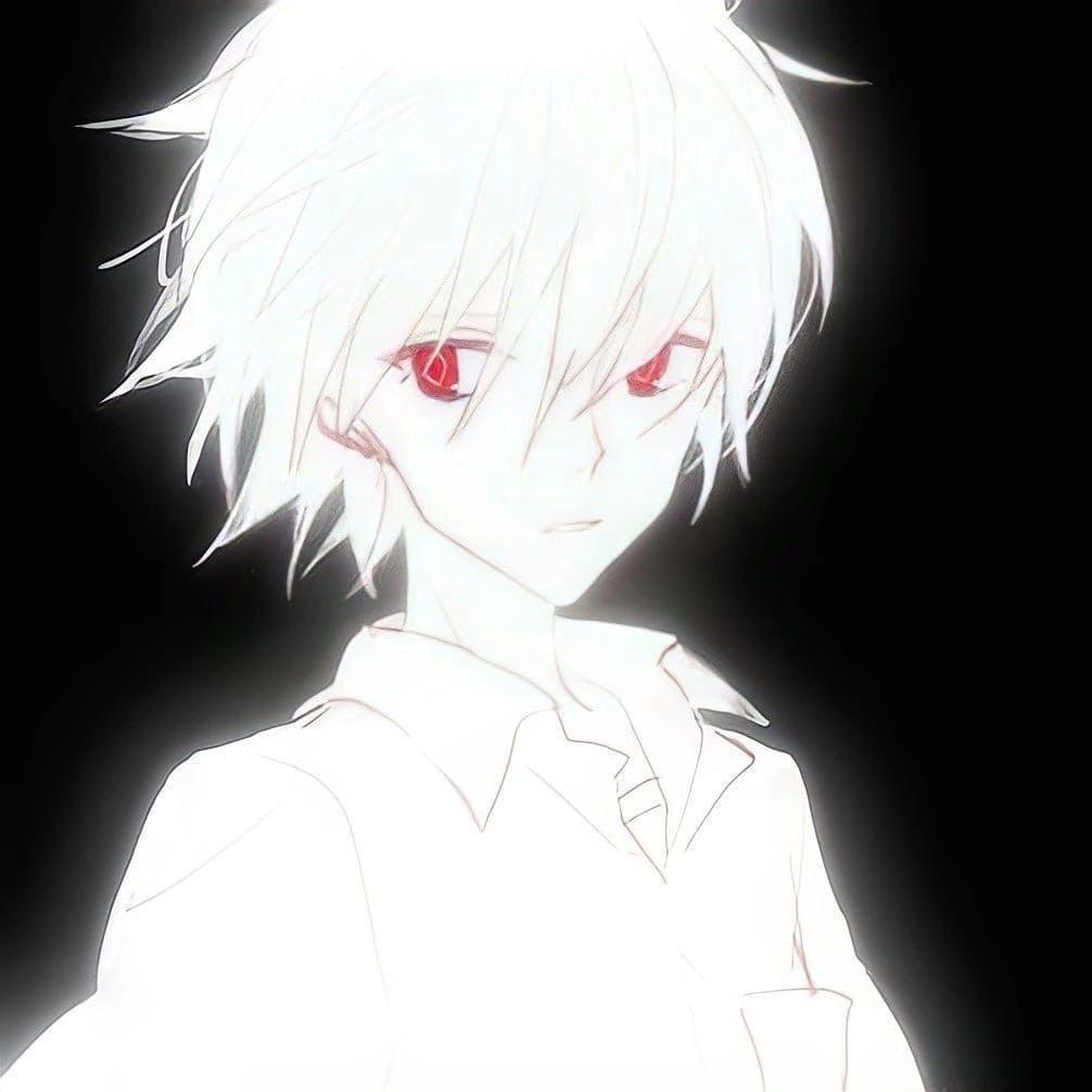 shq666 avatar