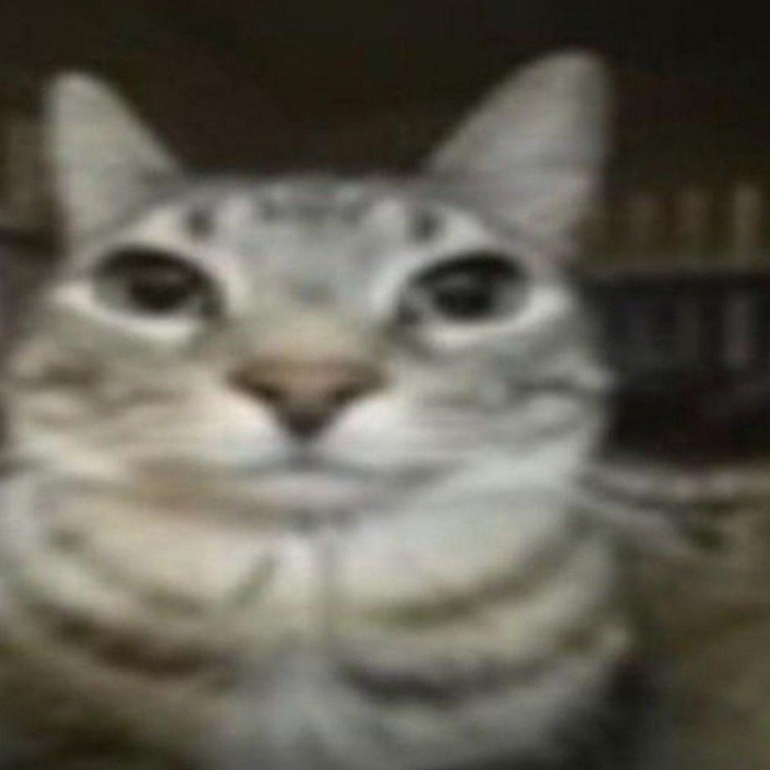 No5tikz avatar