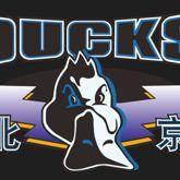 Beijing Ducks