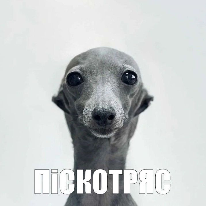 Trix1ee avatar