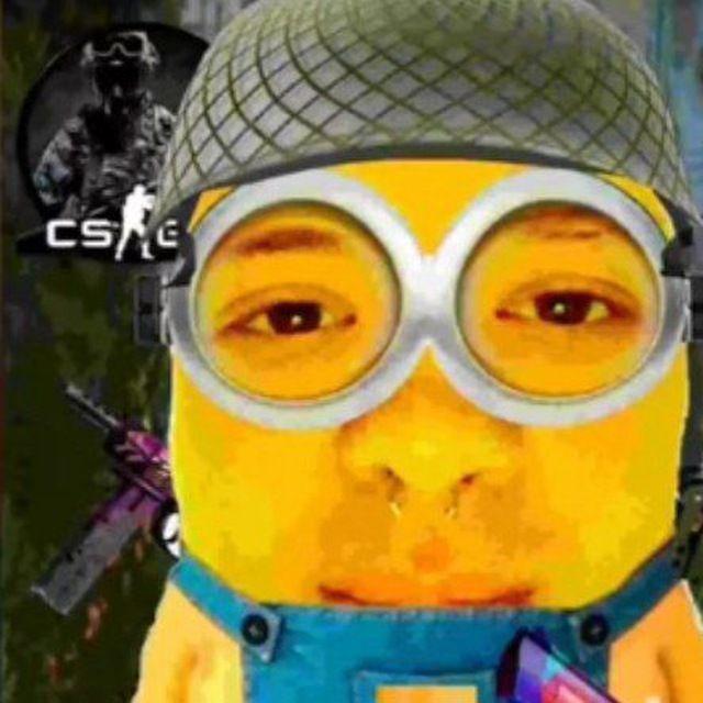 Caxapochekk avatar