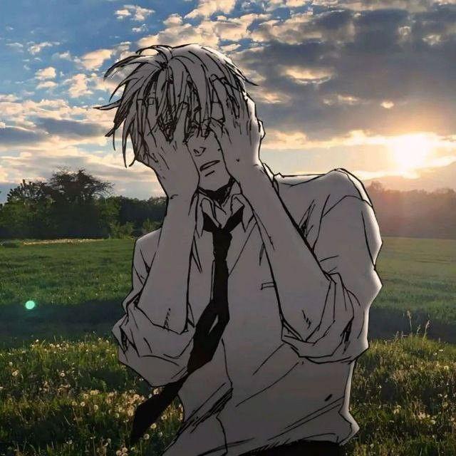 du1et avatar