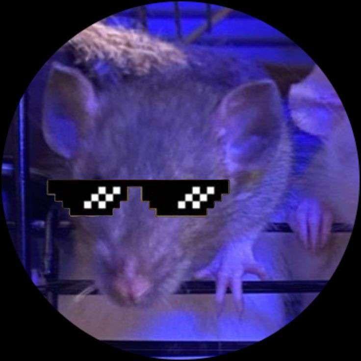 Din9l