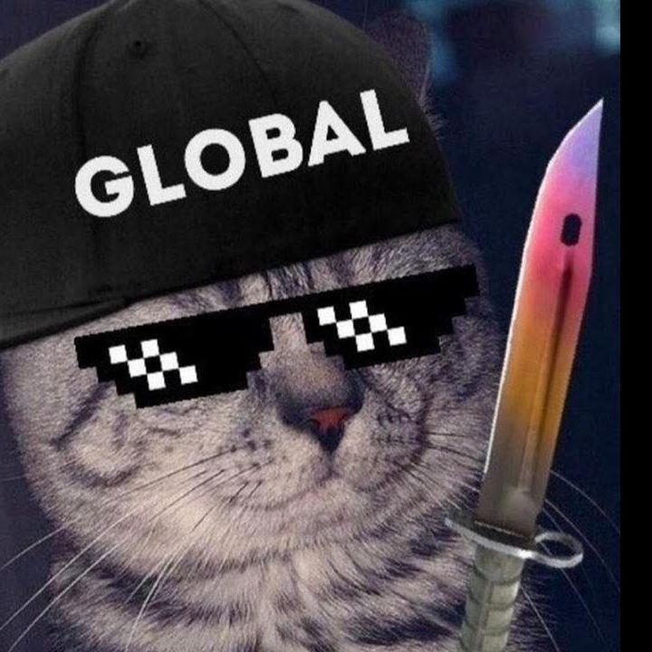 fazeitgamer avatar