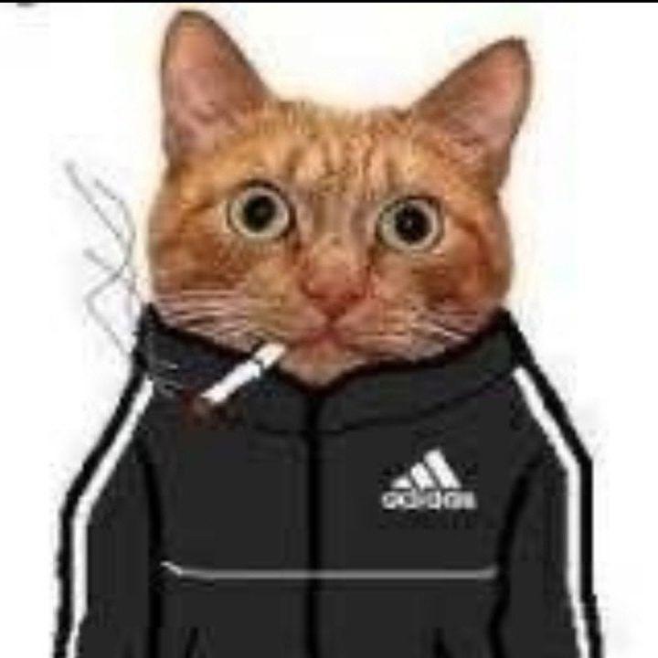 fles4ka- avatar