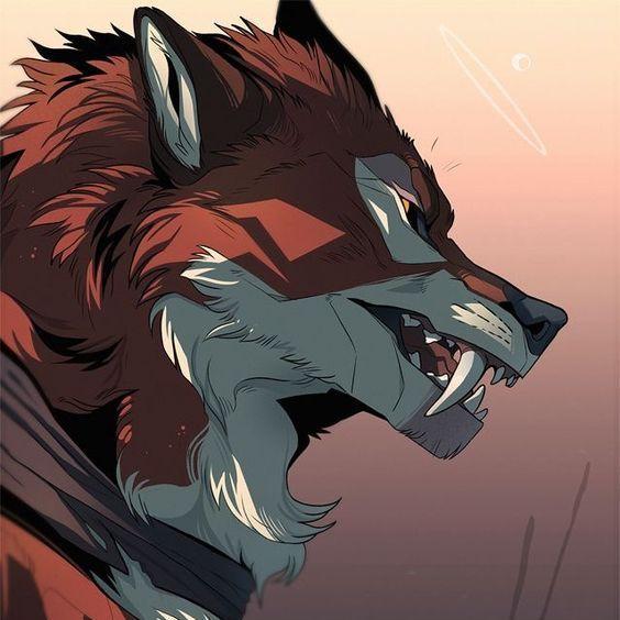 SiberiansFOX avatar