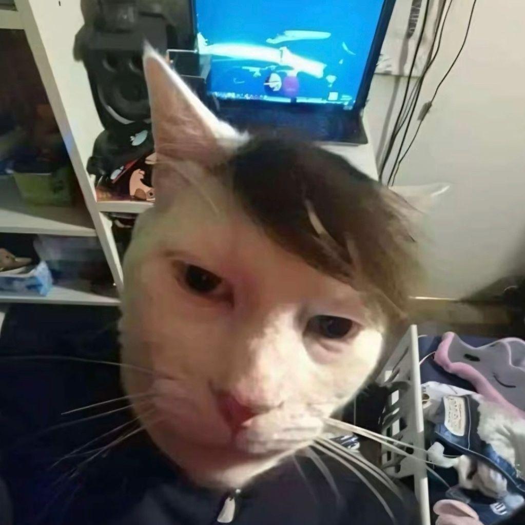 seka2z avatar