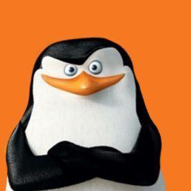 zmajaaa avatar
