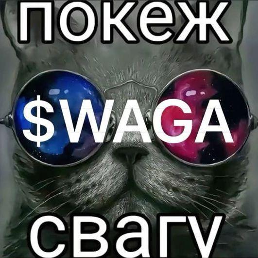 11DoctorWho avatar