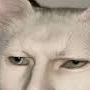 dOOsq
