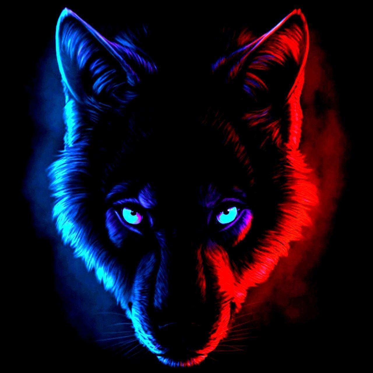 Dark_Wolf93 avatar