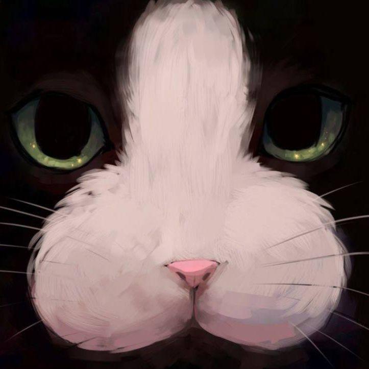 Bubun322 avatar